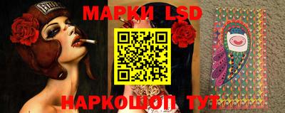 крисы Кандалакша