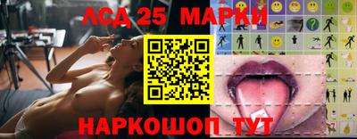 крисы Кандалакша