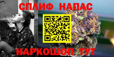 крисы Кандалакша