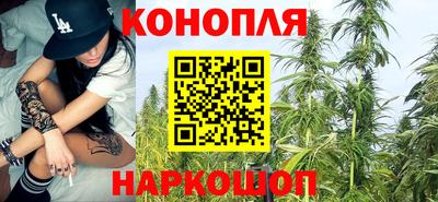 крисы Кандалакша