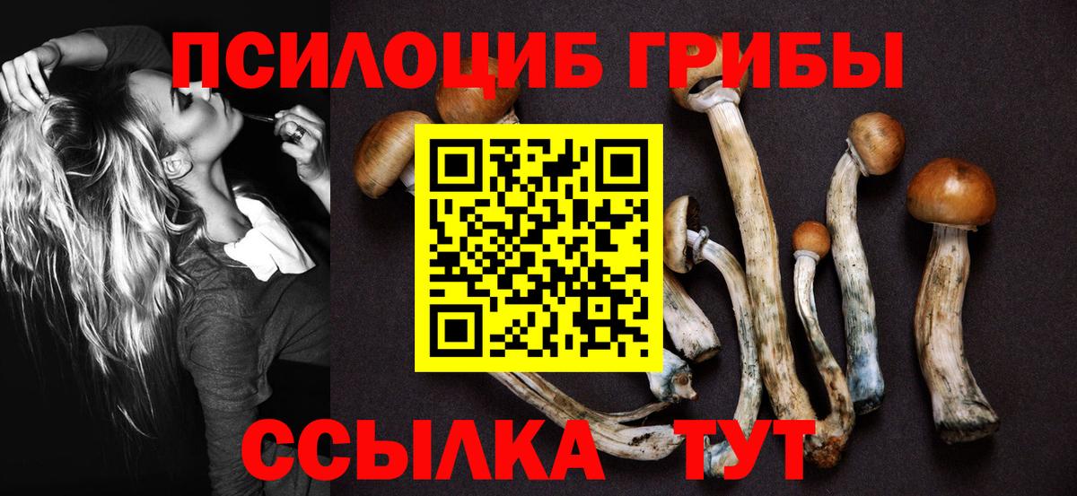 Псилоцибиновые грибы Magic Shrooms Лосино-Петровский
