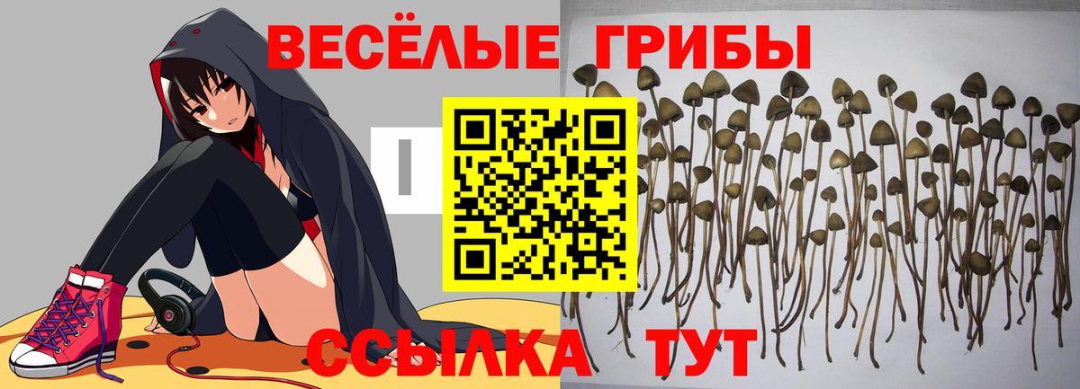 Лосино-Петровский  Галлюциногенные грибы мухоморы  Вход с VPN 